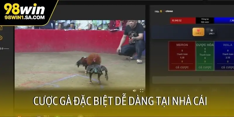 Cược gà đặc biệt dễ dàng tại nhà cái