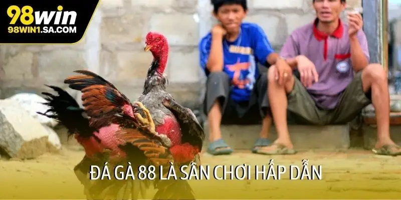 Đá gà 88 là sân chơi hấp dẫn